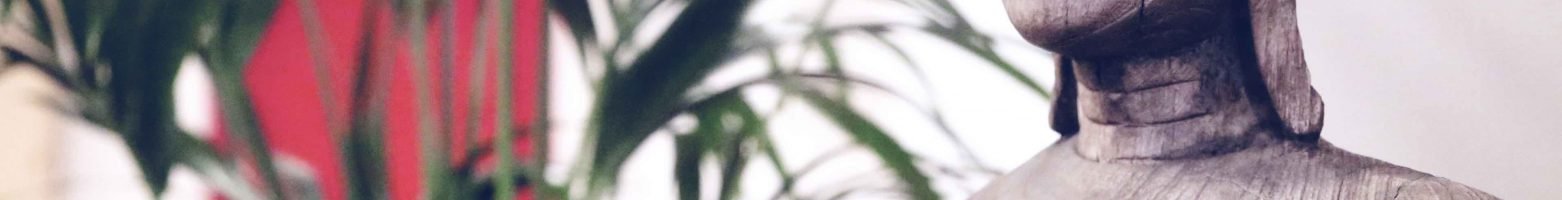 Acerca de la Asociación de Bienestar Anahata